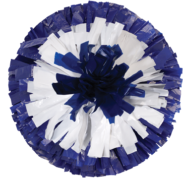 Custom Plastic Junior Show Pom - Bullseye