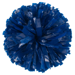 Plastic Pom Ball One Color