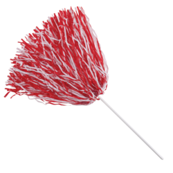 Plastic Rooter Pom - 500 streamers